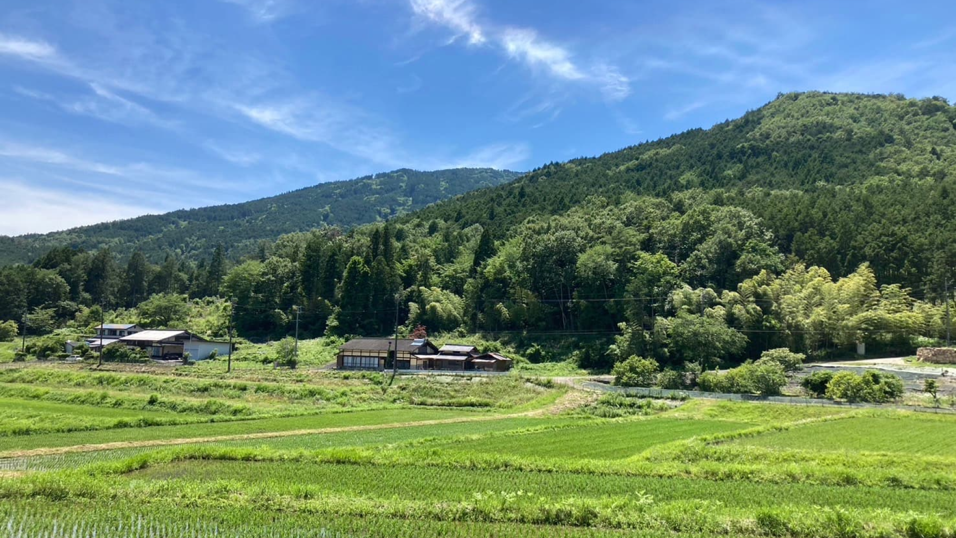 Japanese Traditional House